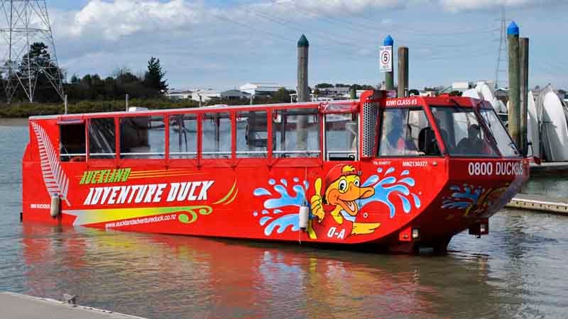 Part bus, part boat, part duck – The Adventure Duck is Auckland’s ONLY amphibious vehicle! 